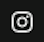 ins-icon